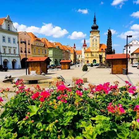 In * Žatec