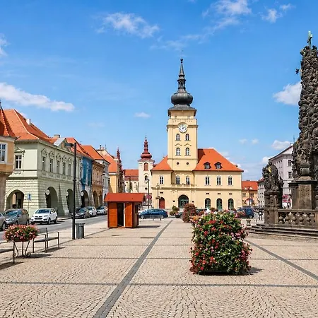 In Žatec